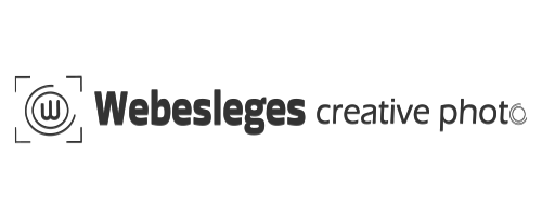 mobillogo